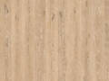 Oak Rustic Washed Grey Art.-Nr. 80003215