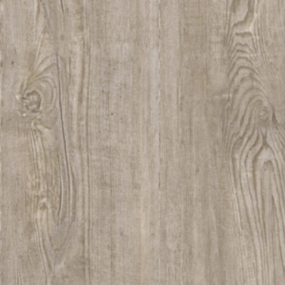 Winter Pine Art.-Nr. L5S0001